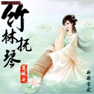 竹林抚琴 夏婉安《竹林抚琴》歌词