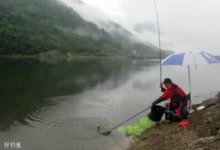江河钓鱼视频野钓实战 江河野钓有哪些地方适合钓鱼