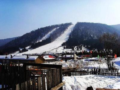 吉林长白山灵芝基地 吉林长白山高原冰雪运动训练基地