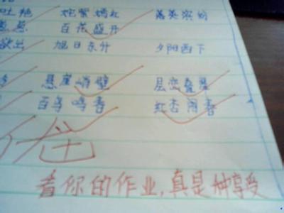 小学批改作业小结 批改作业小结