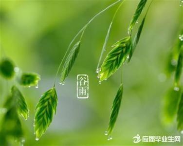 谷雨时节养生 谷雨时节养生吃什么