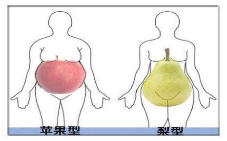 苹果型身材的危害 苹果型身材有哪些危害