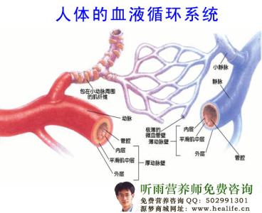 气血不足的症状 气血不足有什么症状？身体的12个部位反应气血不足