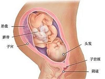 胎儿入盆后胎动怎么样 入盆后胎动