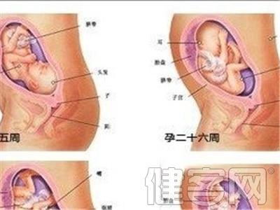 32周胎儿发育标准 32周胎儿发育标准是多少