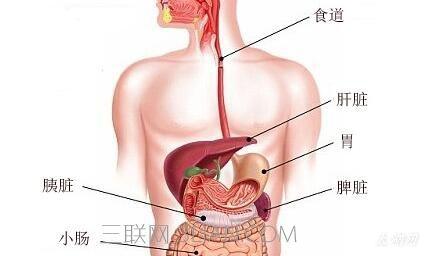 脾胃虚弱不适合焦三仙 脾不适有哪些分类