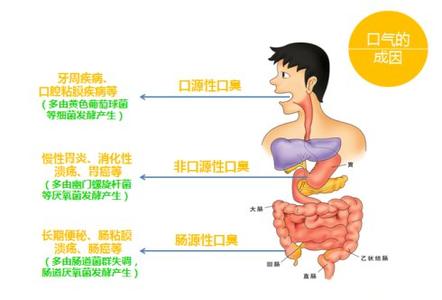 膳食纤维的功效与作用 膳食纤维的作用与功效有哪些