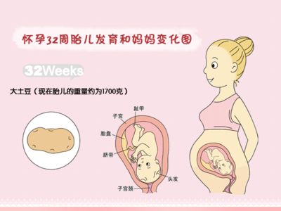 怀孕初期三个月 怀孕初期应注意什么，怀孕前三个月小贴士(3)