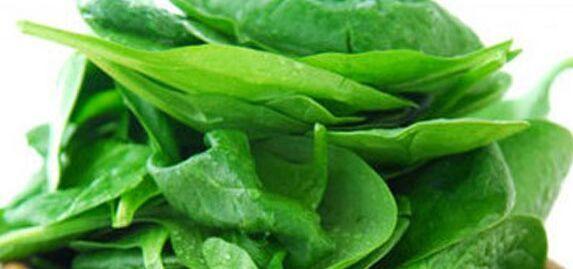 绿叶菜营养 绿叶菜有什么营养价值