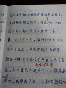 小学生寒假作文500字 小学生寒假作文500字_五篇