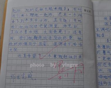 寒假趣事作文三年级 小学生寒假趣事作文