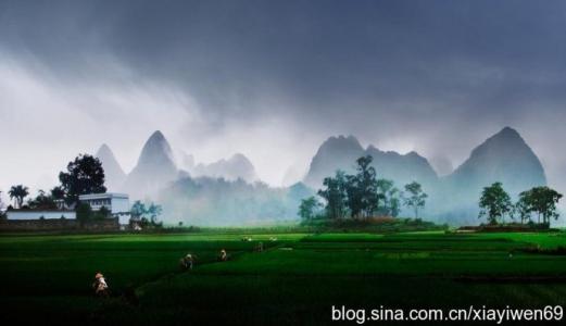 黄梅戏血泪化着风雨骤 穿过风雨的疏骤