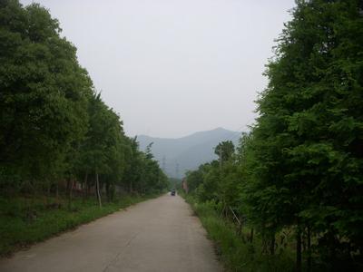 湖州碧岩寺 湖州碧岩