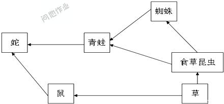 情绪调节能力 自我调节情绪是一种能力