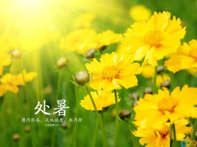 处暑节气 处暑节气祝福的话