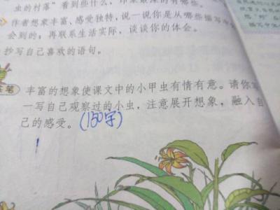 草虫的村落读后感100字 草虫的村落读后感