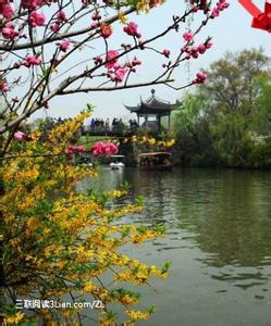 花团锦簇 五一出行，拥抱扬州瘦西湖花团锦簇的春意