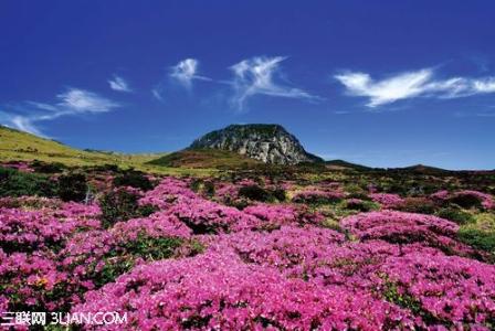 蜜月旅行推荐 2014南非生态蜜月地推荐