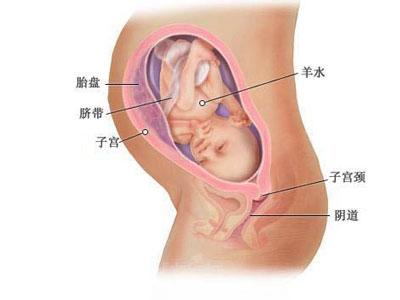 如何预防胎盘老化 胎盘提前老化如何预防