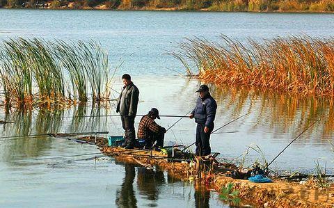 野钓选什么形状浮漂 秋季野钓注重“六选”