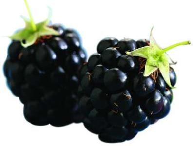 各种水果营养价值大全 黑色水果的营养价值