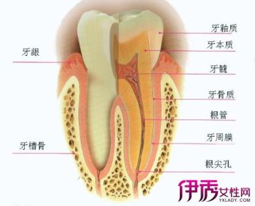 牙酸痛最快的治疗方法 牙齿酸痛是什么原因