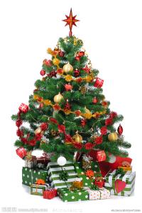 圣诞节习俗：圣诞树