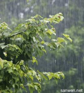 描写夏季的雨的一段话 描写夏雨的一段话