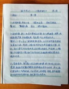 浮士德读书笔记3000字 浮士德读书笔记