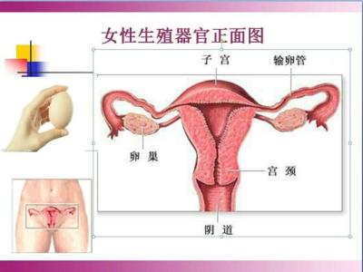 月经正常的标准 月经怎样判断是否正常_月经正常衡量标准是什么(2)