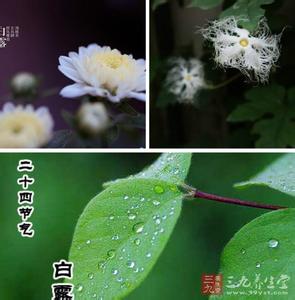 白露节气 白露是什么节气？白露的意思