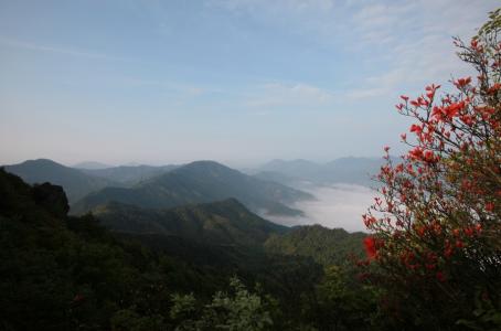 阳岭国家森林公园攻略 阳岭