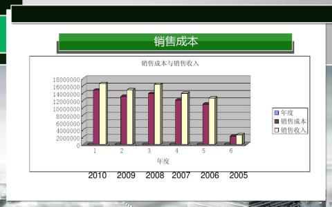 上市公司会计报表分析 公司会计报表的阅读与分析(2)