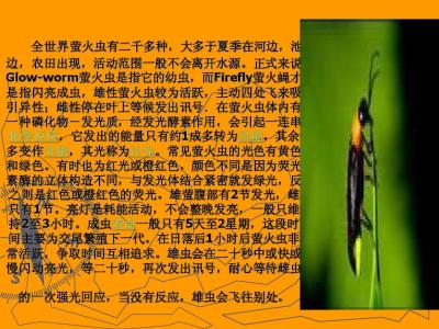 黄致列firefly 百度云 黄致列Firefly萤火虫歌词中文