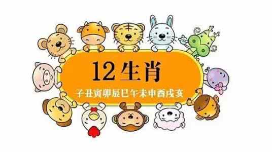 2017年4月12生肖属猪的人爱情工作金钱健康学习运势运程详解