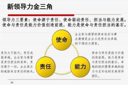 灰度领导力 时代企业的“灰度领导力”