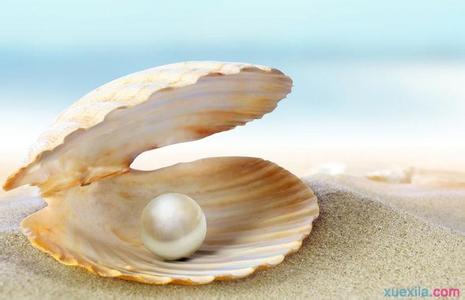 贝壳粉的用途 贝壳是怎么形成的_贝壳的商业用途