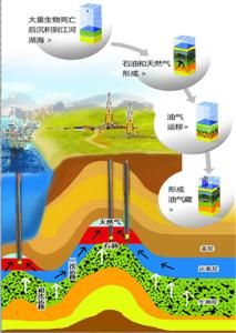 石油到底是怎么形成的 原油是怎么形成的