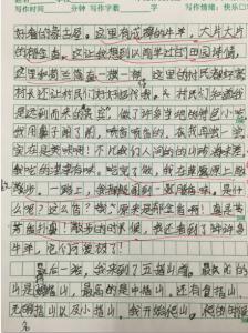 一次旅游作文400字6篇 关于旅游的作文6篇(2)