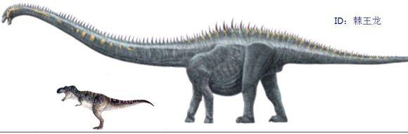 亚洲最大的恐龙是什么 恐龙最大的龙是什么龙