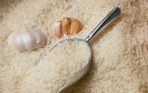 如何防止米面生虫 如何让米面永不生虫