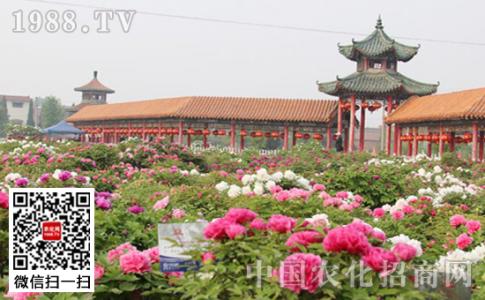 曹州百花园 曹州百花园的景点介绍，去曹州百花园怎么坐车