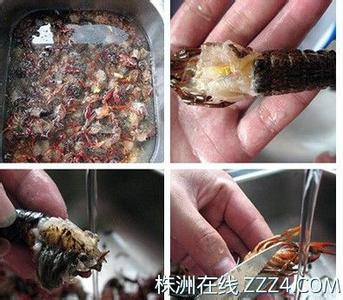 小龙虾雌雄鉴别 怎么鉴别死的小龙虾