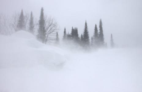 巫山县林场雪灾原因 雪灾形成的原因