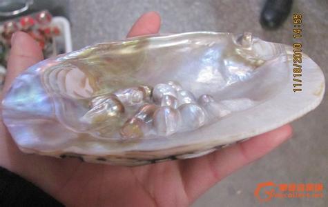 贝壳的珍珠怎么形成 贝壳里的珍珠是怎样形成的