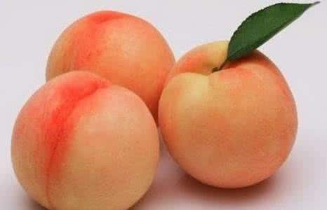 水蜜桃的营养价值 水蜜桃的营养价值_水蜜桃的选购方法