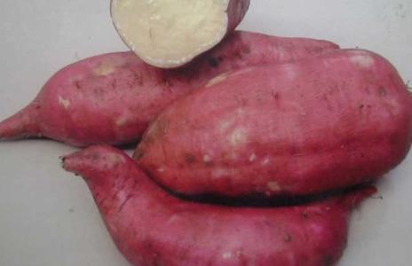红薯的功效与作用 红薯的功效与作用是什么