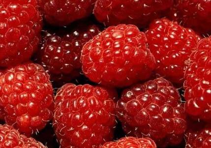 孕妇可以吃山莓吗 山莓怎么吃(2)
