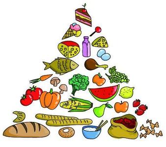 吃什么食物对肝有益 吃什么食物对身体健康有益 注意饮食热量