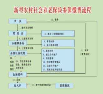 2017年农村社保新政策 2017最新农村社保政策_2017年农村社保有什么政策